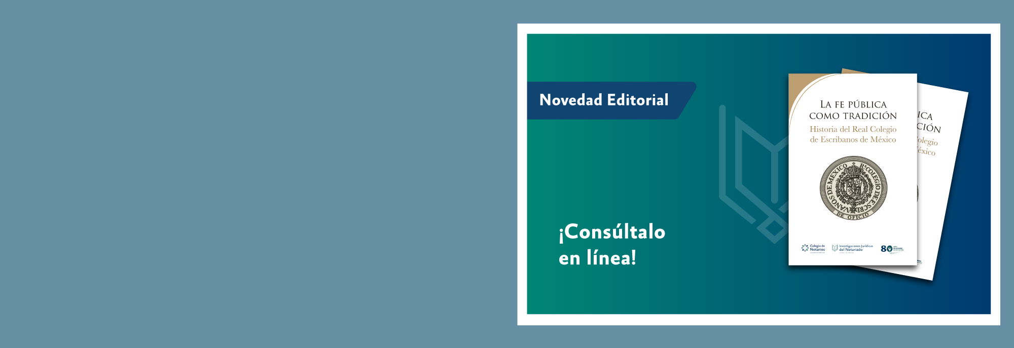 Fe-Publica.png