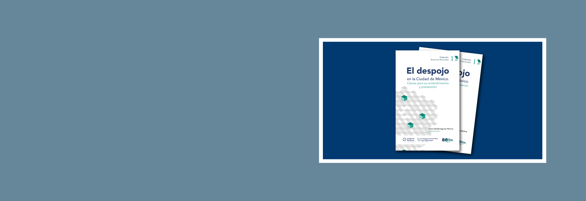 Banner-portada-Despojo.jpg