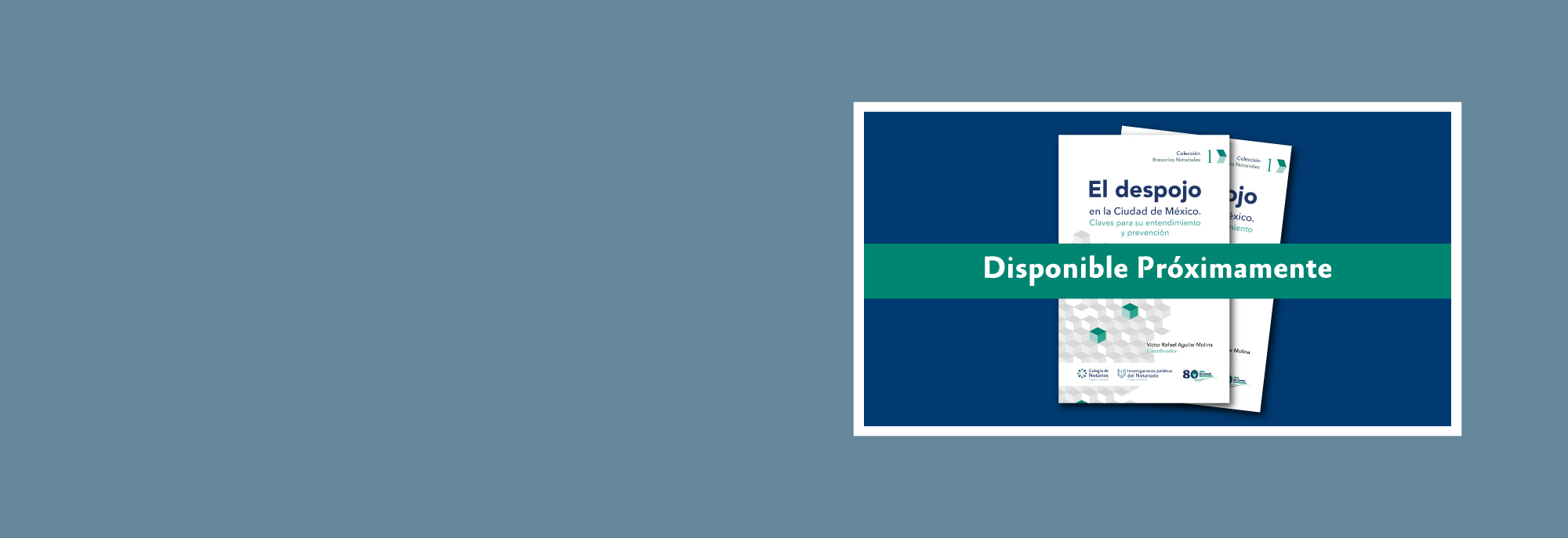 Despojo-Prox.jpg